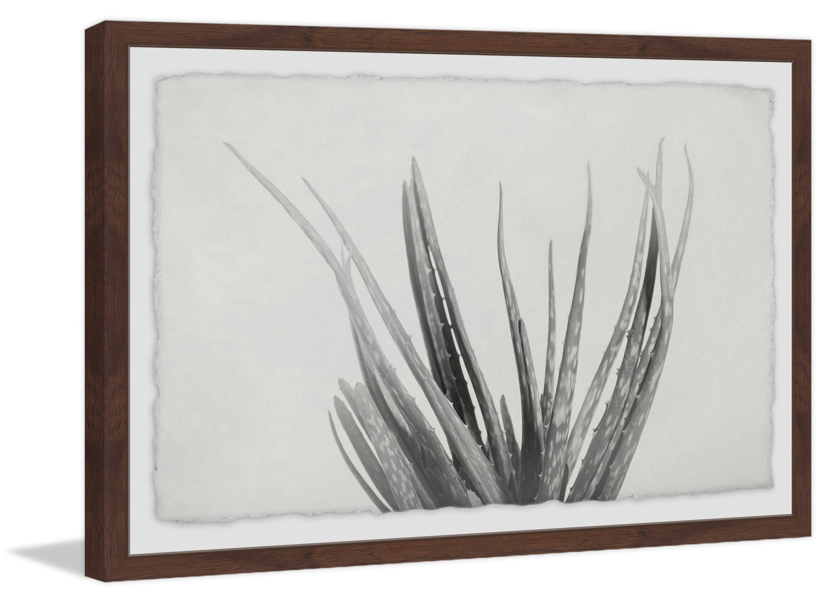 Thin Stems Framed Painting Print