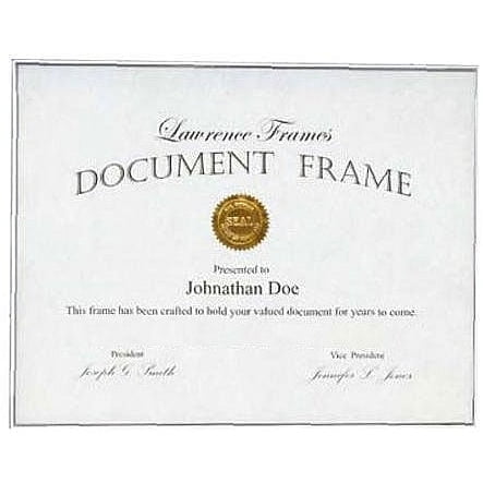 Thin White Line document frame by Lawrence Frames - 11x14