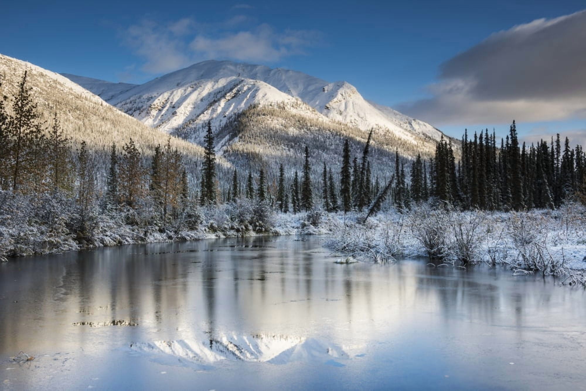 Thin ice on a pond following a fresh snow on mountains in the Brooks Range north of Wiseman Alaska Canvas Art - Carl Johnson Design Pics (19 x 12)