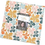 10 Layer Cake Squares - Things Above by Stephanie Sliwinski for Moda Ten-Square Fabric Bundle Quilters Cotton Precuts 45610LC M417.06