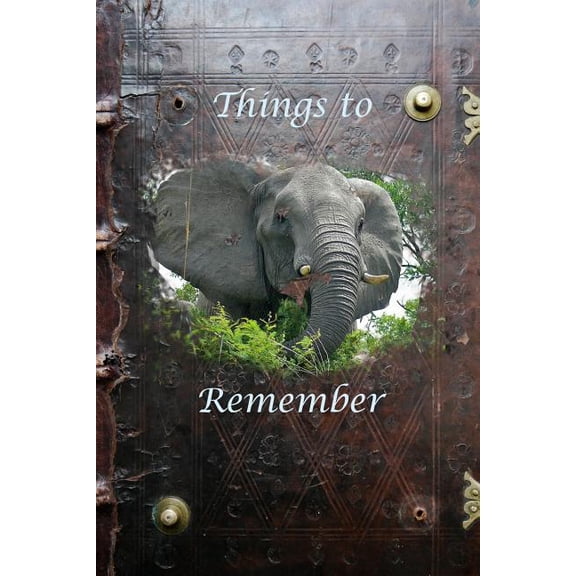 Things to Remember (Paperback)