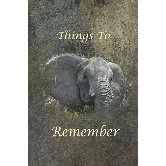Things to Remember (Paperback)