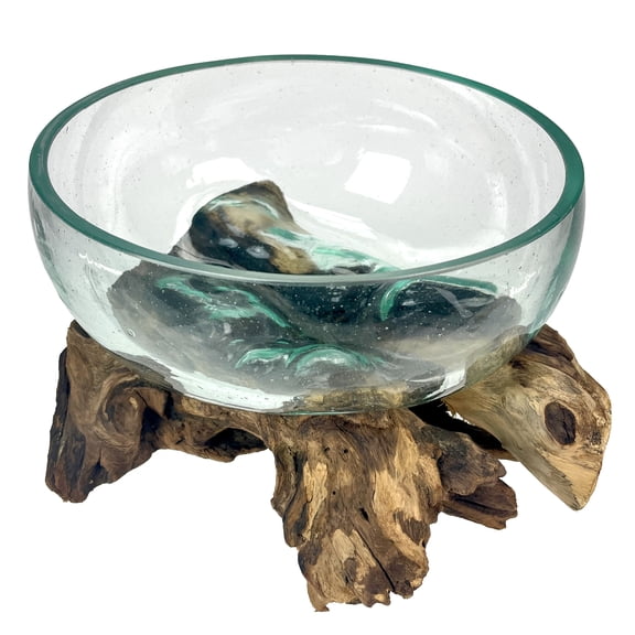 Things2Die4 Molten Glass Bowl on Driftwood 10" Hand Blown Decorative Centerpiece Planter - Natural - Size 10 inch Low Bowl
