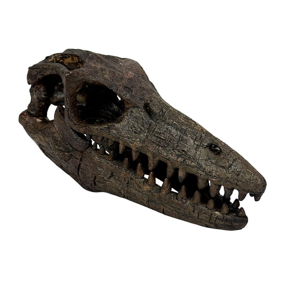 Things2Die4 Things2die4 Mosasaurus Skull Statue, Brown Resin 7.5-inch Prehistoric Tabletop Decor