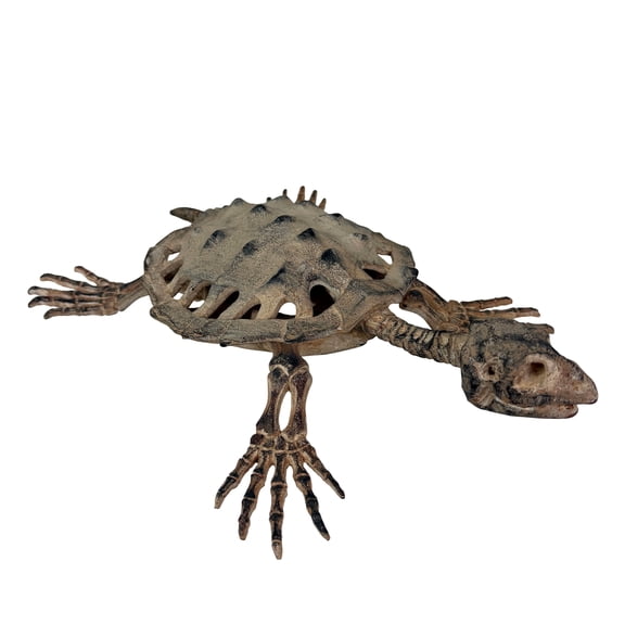 Things2Die4 Things2die4 Turtle Skeleton Statue Polyresin Coastal Tabletop Decor 14 In