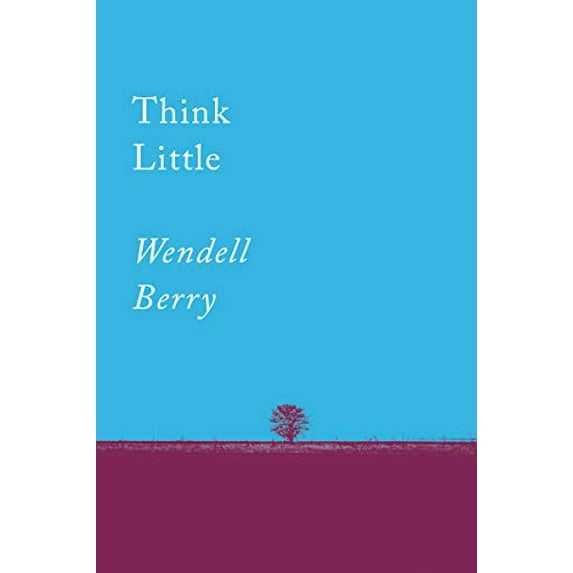 Pre-Owned Think Little: Essays (Paperback) 1640091734 9781640091733