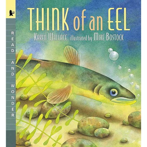 Pre-Owned Think of an Eel (Read and Wonder) (Hardcover) 1564021807 9781564021809