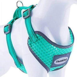 ThinkPet Reflective Breathable Soft Air Mesh No Pull Puppy Choke Free Over  Head Vest Ventilation Harness for Puppy Small Medium Dogs and Cats(XXS,Neon