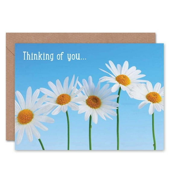 Thinking Of You Daisy Flower Nature Greetings Card Plus Envelope Blank inside