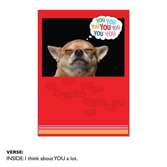 Viabella Thinking Of You Dog Greeting Cards 6 Count 5 x 7 Inch