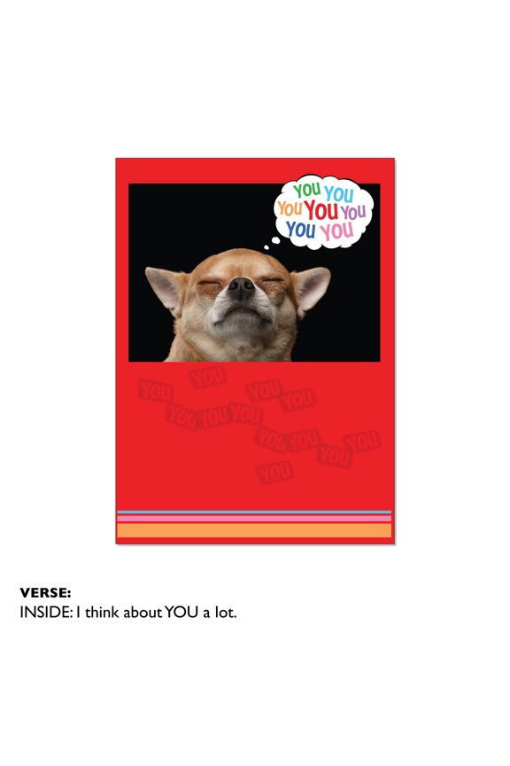 Thinking Of You Dog Greeting Cards 6 Count 5 x 7 Inch