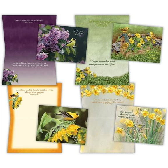 Thinking of You II - Assorted Thinking of You Cards, Box of 12