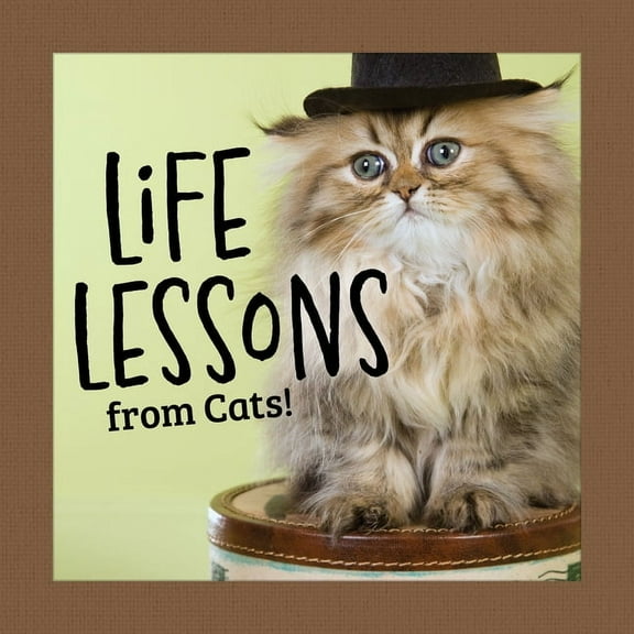 Thinking of You Life Lessons from Cats!, (Hardcover)