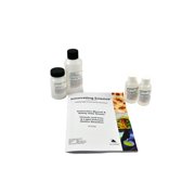 Thionin and Iron A Light Induced Redox Reaction Science Kit - Innovating Science