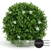 3rd Street Inn 7" Small White Flower Topiary Ball - 2 Pack