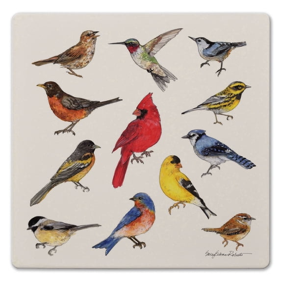 Thirstystone Bird Study Decorative Cork Backed Stone Trivet 8" Square