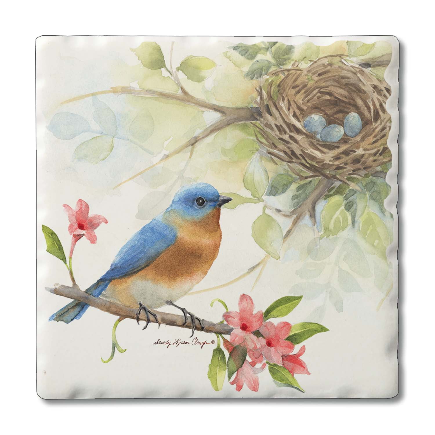 Bluebird Multicolor Tumbled Tile Stone Coasters with Cork Backing