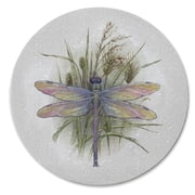 Thirstystone Dragonfly Round Natural Sandstone Coaster 4-Pack