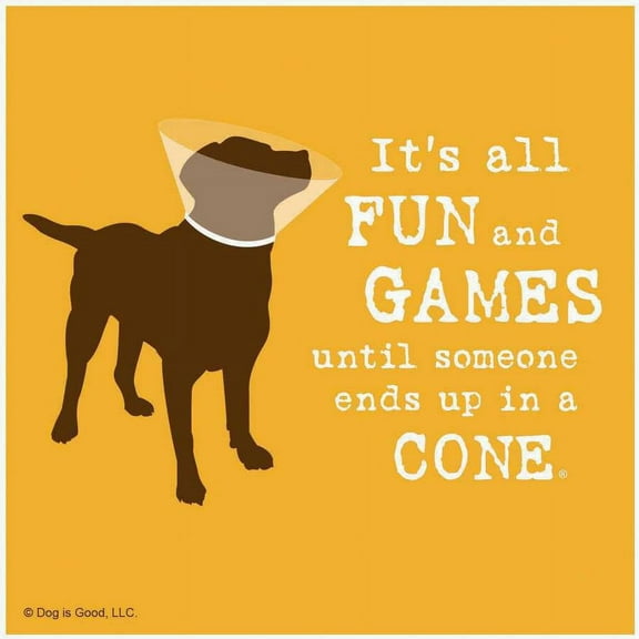 Thirstystone Drink Coaster, Fun and Games