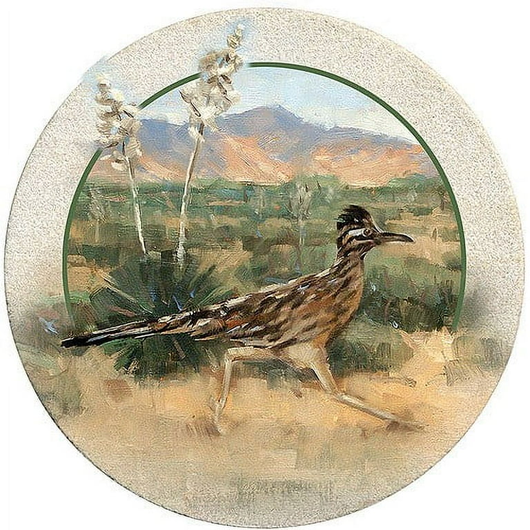 Thirstystone Drink Coasters Set Roadrunner Walmart