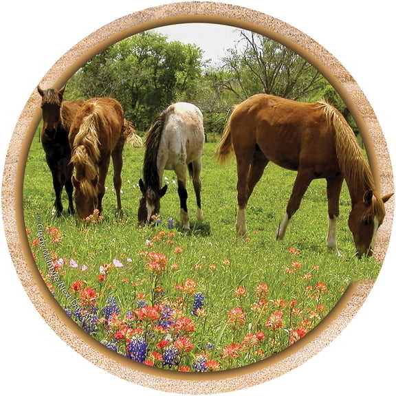 Thirstystone Drink Coasters Set, Yearlings and Wildflowers