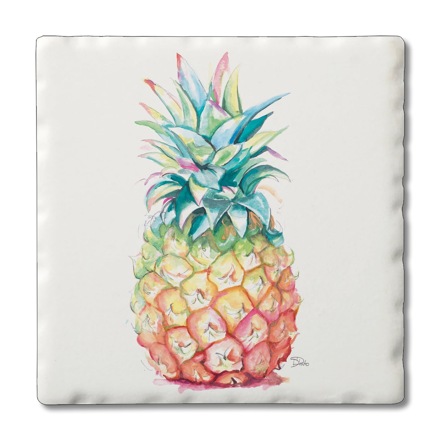 Hawaiian Pineapple Multicolor Absorbent Stone Coasters with Cork Backing