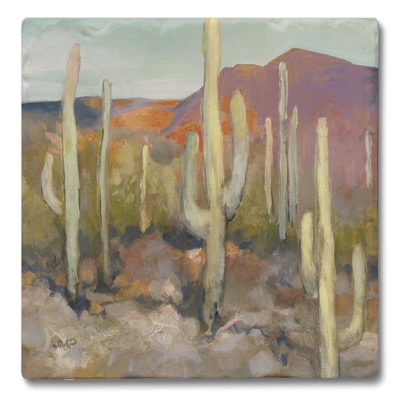 Thirstystone High Desert 4-Pack Tumbled Tile Coasters