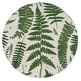 thumbnail image 1 of Thirstystone Natural Ferns Round Natural Sandstone Coaster 4-Pack, 1 of 6
