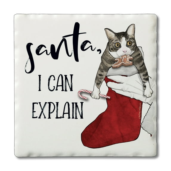 Thirstystone "Santa I Can Explain" Single Tumbled Tile Coaster