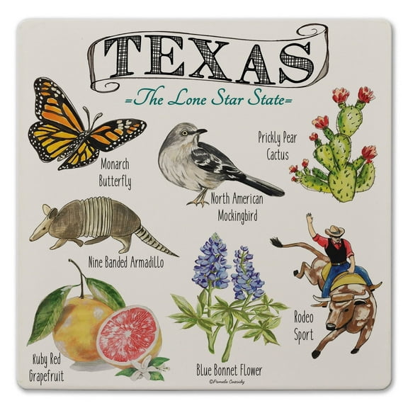 Thirstystone "Texas State Icons" Decorative Cork Backed Stone Trivet 8" Square