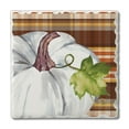 thumbnail image 1 of Thirstystone "White Pumpkin" Single Tumbled Tile Coaster, 1 of 7