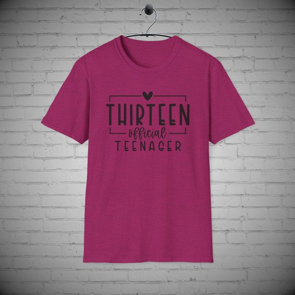 Thirteen Birthday t-shirt, 13th Bday Official Teenager Tee, Gift for Teens