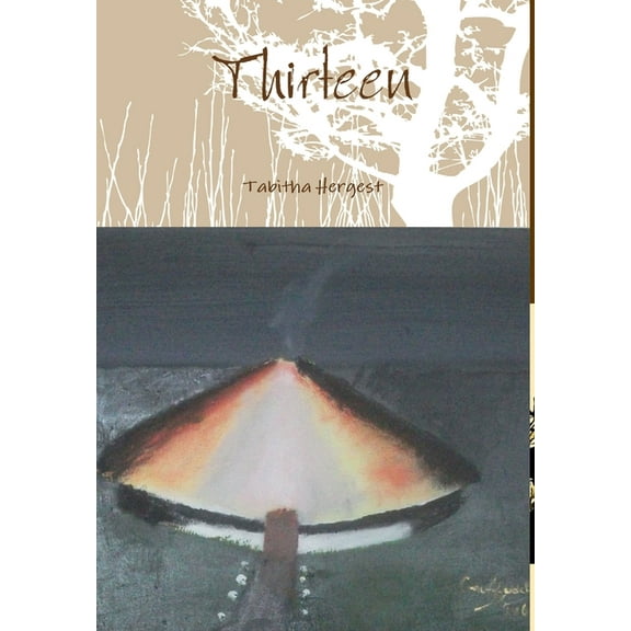 Thirteen, (Hardcover)