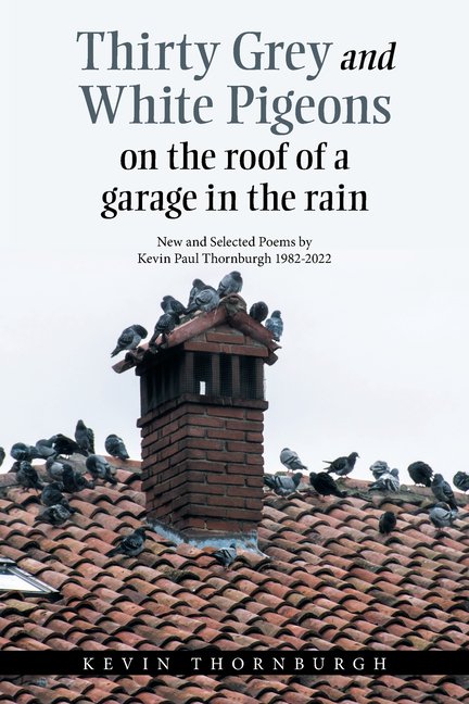 Thirty Grey and White Pigeons on the Roof of a Garage in the Rain: New and Selected Poems by Kevin Paul Thornburgh 1982-, (Paperback)