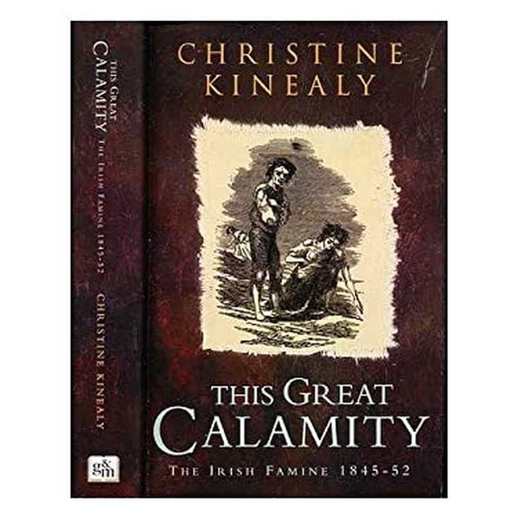 Pre-Owned This Great Calamity : Irish Famine,1845-52 9780717118816