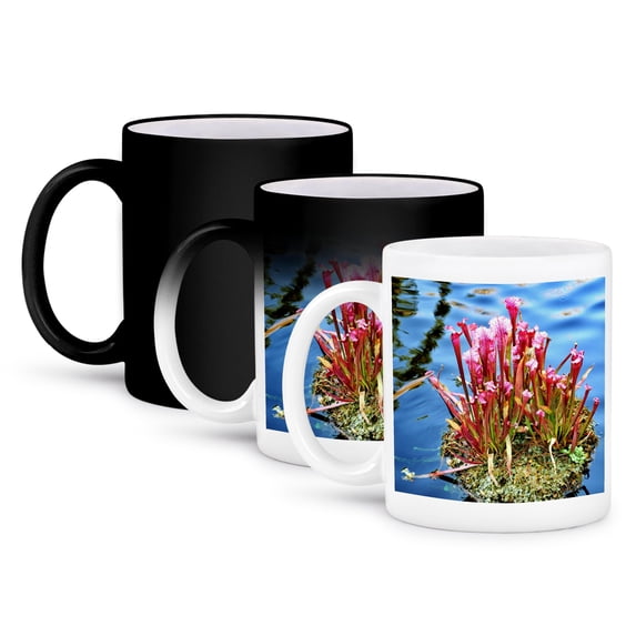 3dRose, This is a carnivorous plant that lives in the water, 11oz Magic Transforming Mug