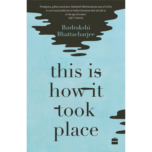 This Is How It Took Place: Stories (Paperback)