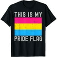 thumbnail image 1 of This Is My Pride Flag | Pansexual Stuff | Gay Pride Month T-Shirt, 1 of 4