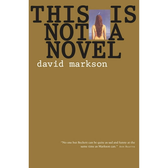 Pre-Owned This Is Not a Novel (Paperback) 1582431337 9781582431338