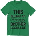 thumbnail image 1 of This Is What An Amazing Brother Looks Like Funny Birthday Gift Men's T-Shirt, 1 of 4