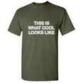 thumbnail image 1 of This Is What Cool Looks Like Novelty Sarcastic Fun Saying Tshirt Humor Gift For Occasions Friends Christmas Graphic Funny T Shirt For Men, 1 of 5