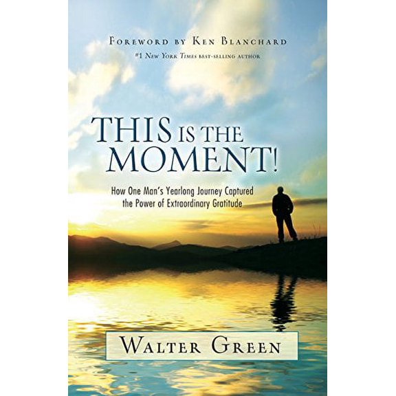 Pre-Owned This Is the Moment!: How One Man's Yearlong Journey Captured the Power of Extraordinary Gratitude (Hardcover) 1401928080 9781401928087