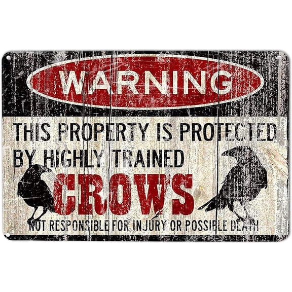 This Property Is Protected By A Highly Trained Crows Funny Tin Signs Wall Decor Man Cave Garage Far Bar Pub 8x12 Inch