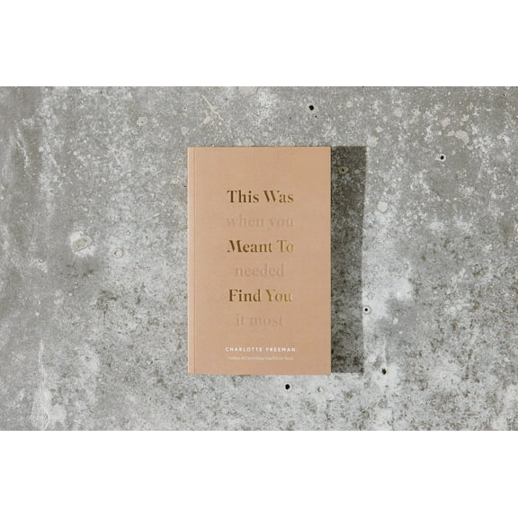 This Was Meant To Find You When You Needed It Most, (Paperback)