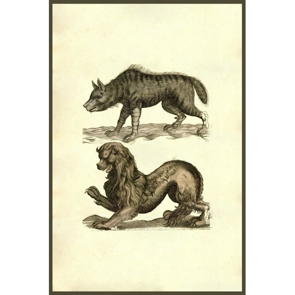 Lupus Marinus Lupus Scythius Poster Print by Ulisse Aldrovandi