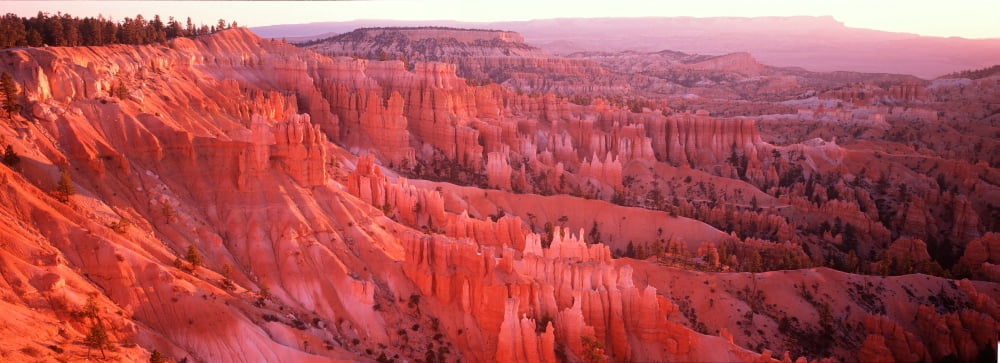 This is Bryce Canyon National Park at sunrise Canvas Art - Panoramic Images (36 x 12)