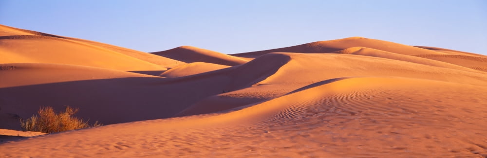 This is Great Sand Dunes National Park at sunrise Canvas Art - Panoramic Images (27 x 9)
