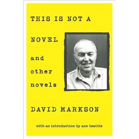 This is Not a Novel and Other Novels (Paperback)