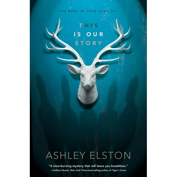 This is Our Story (Hardcover)