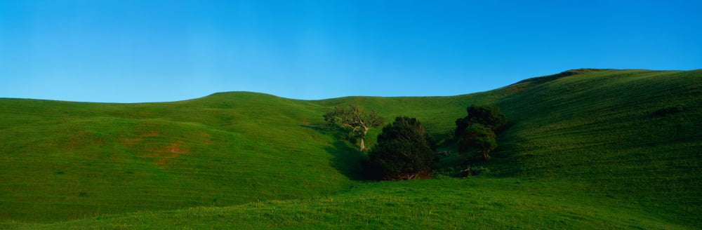 This is a green grassy spring field Canvas Art - Panoramic Images (27 x 9)